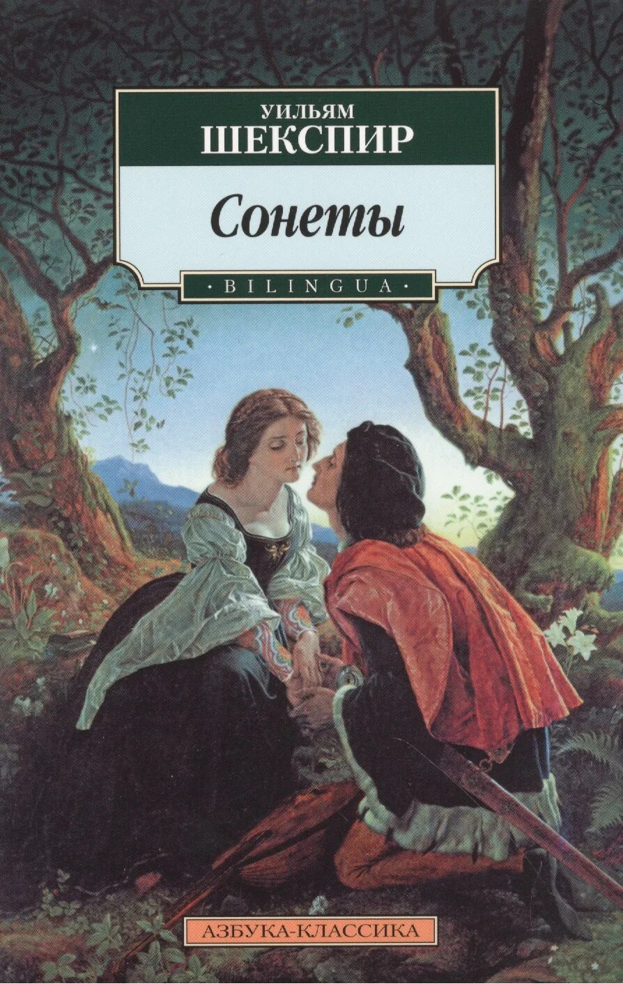 Сонет книга