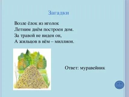 Загадка на горе
