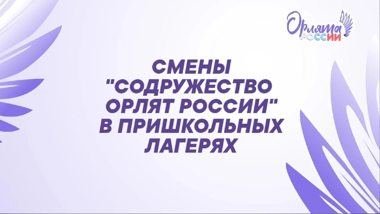 Программа пришкольного лагеря орлята россии