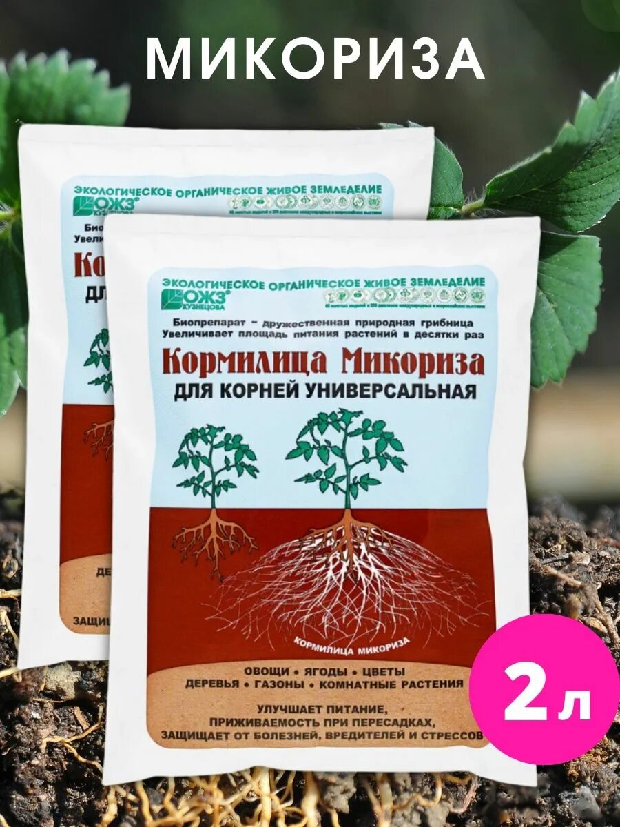 Кормилица микориза 30г БАШИНКОМ. Микориза БАШИНКОМ упаковка. Микориза (био) стимулятор корнеобразования 20г Ортон/70. Микориза для комнатных растений. Микориза стимулятор роста