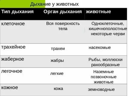 Изучение способов дыхания у животных лабораторная. Лабораторная по биологии 7 класс латюшин. Лабораторная работа 1 по биологии 7 класс латюшин. Изучение способов дыхания у животных лабораторная. Дыхание животных таблица.