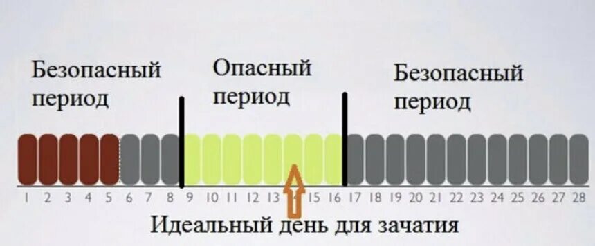 Через сколько половых актов можно забеременеть. Календарный метод предохранения. Опасные и безопасные дни для беременности. Календарный метод контрацепции. Опасные дни для беременности.