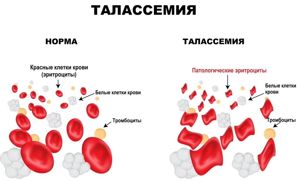 Malformed response