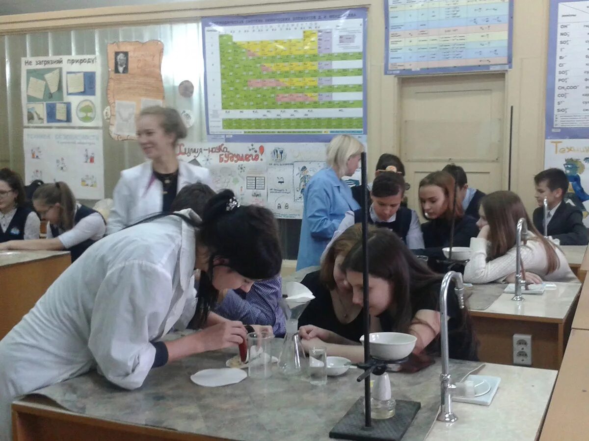Школа 173 Нижний Новгород. Школа 173 учителя. Кафедра в кабинете биологии. Преподаватели частной школы химический клас.