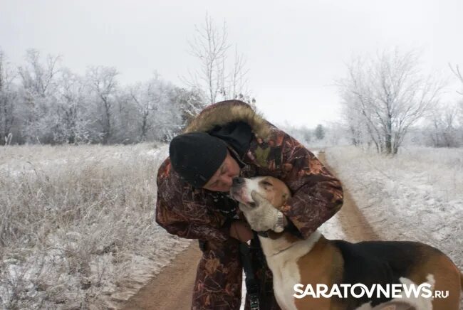 Песня не гоняй собак