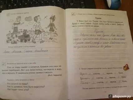 У веры жил кот пушок диктант 2
