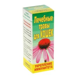 Трава для иммунитета детям
