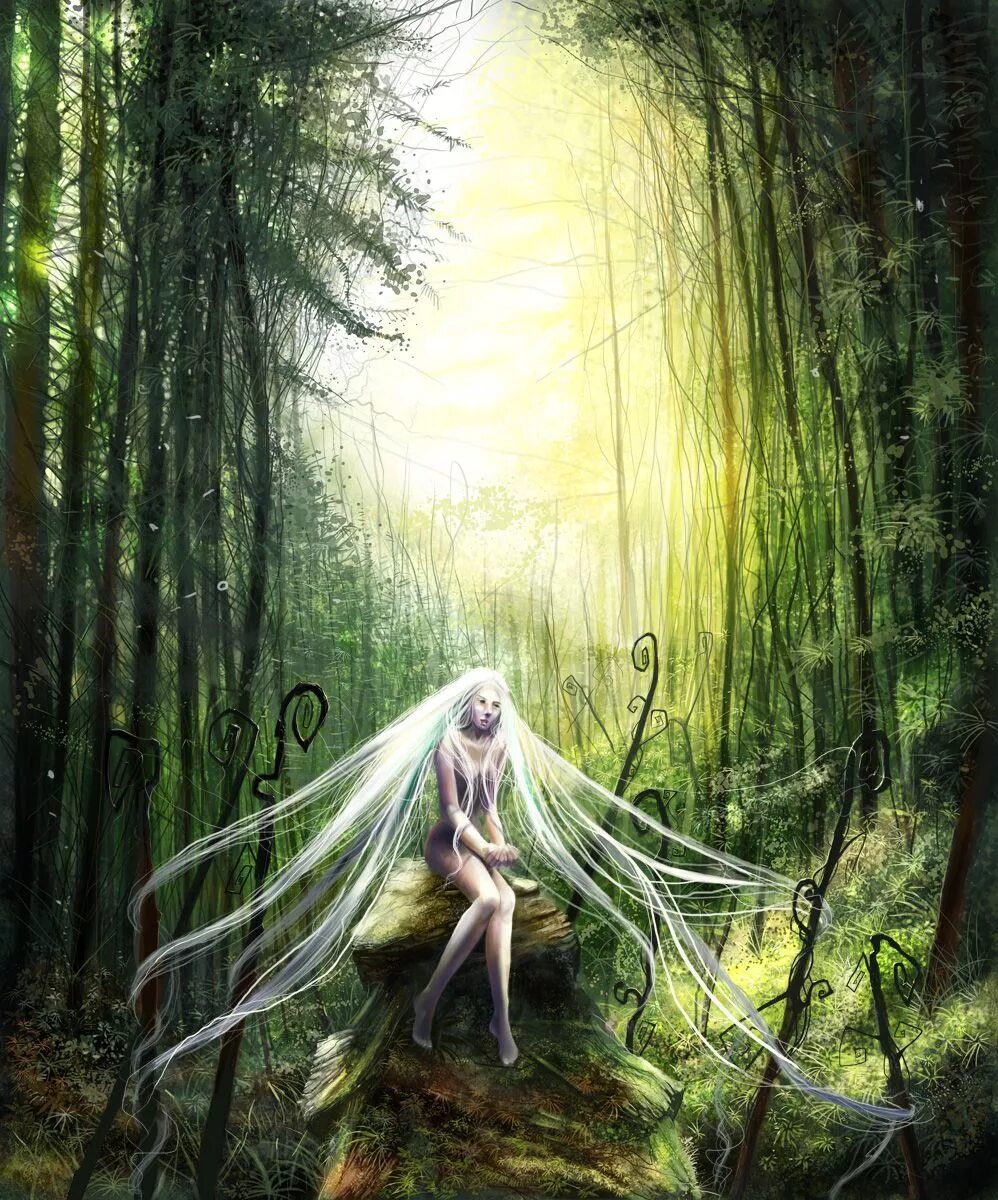 Трава эльфов