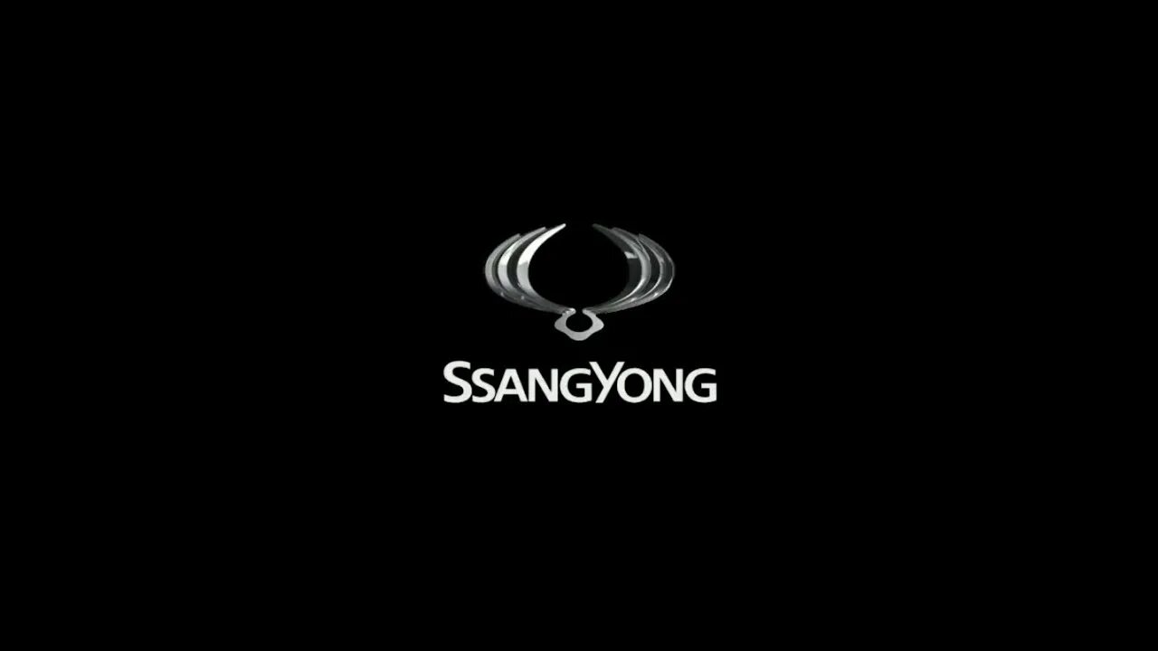 Значок саньенг. Санг ёнг знак. SSANGYONG лого. SSANGYONG надпись. САНГËНГ логотип.