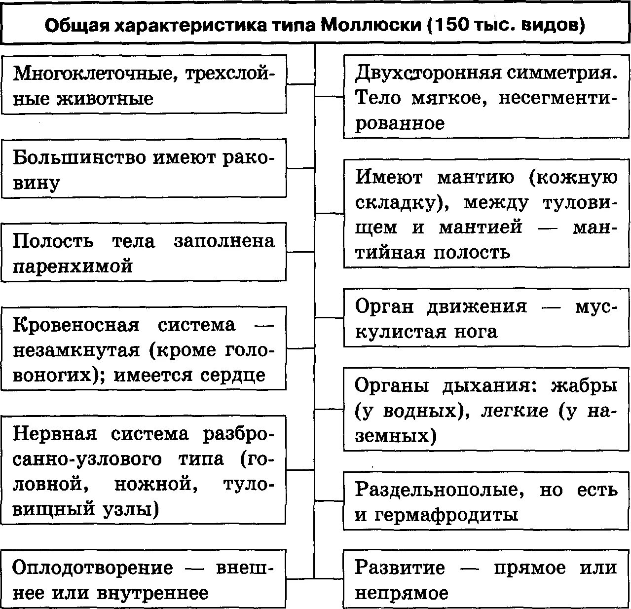 Образ жизни двустворчатых моллюсков таблица - Распиновки.ру