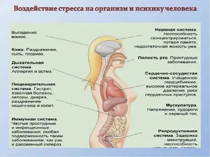 Данная процедура происходит в