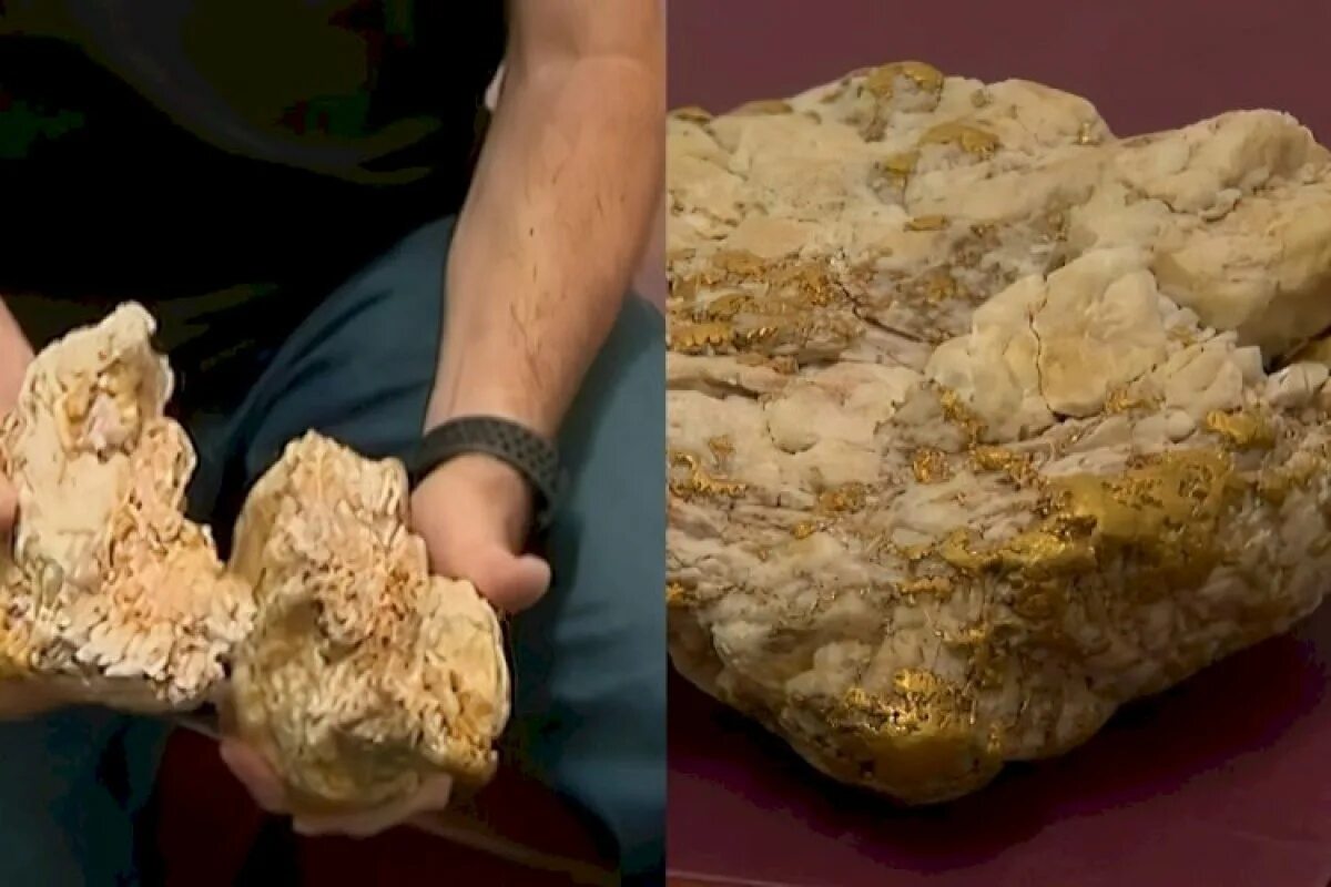 Гигант золотистый. Золотой самородок Мефистофель. Золотые самородки Колымы. Самый большой самородок золота найденный в Австралии.