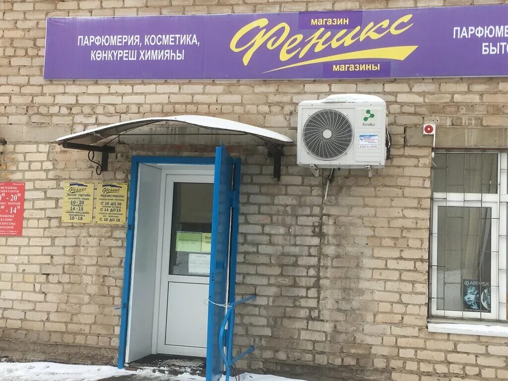 студия феникс. феникс ветеринарная клиника ногинск. феникс режим работы. феникс режим работы. феникс режим работы.