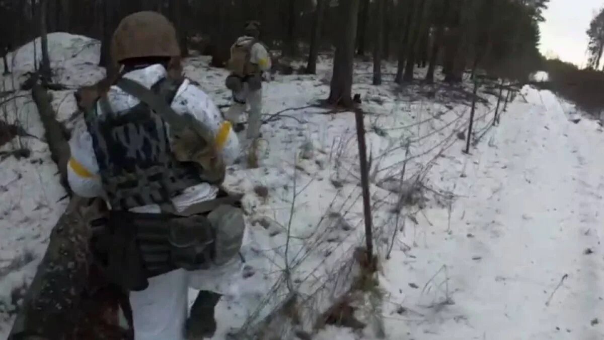 Дрг в брянской области сегодня