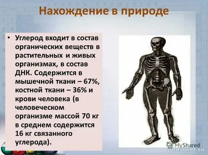 Из каких веществ состоит углерод