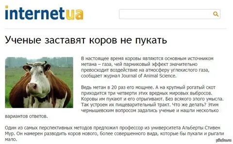 Сколько раз в день пукают
