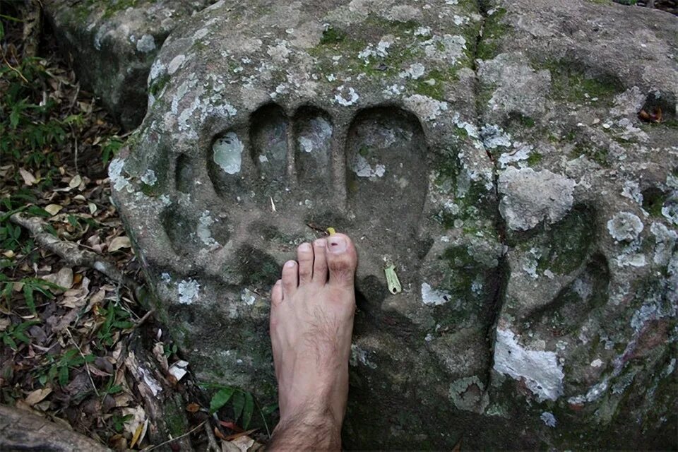 Следы гиганта в нью-мексико. Самые древние следы человека. Fossil окаменелости. Бронзовый век на таймыре. Следы мифического острова будут обнаружены.