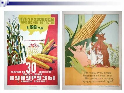 Кукурузная кампания хрущева