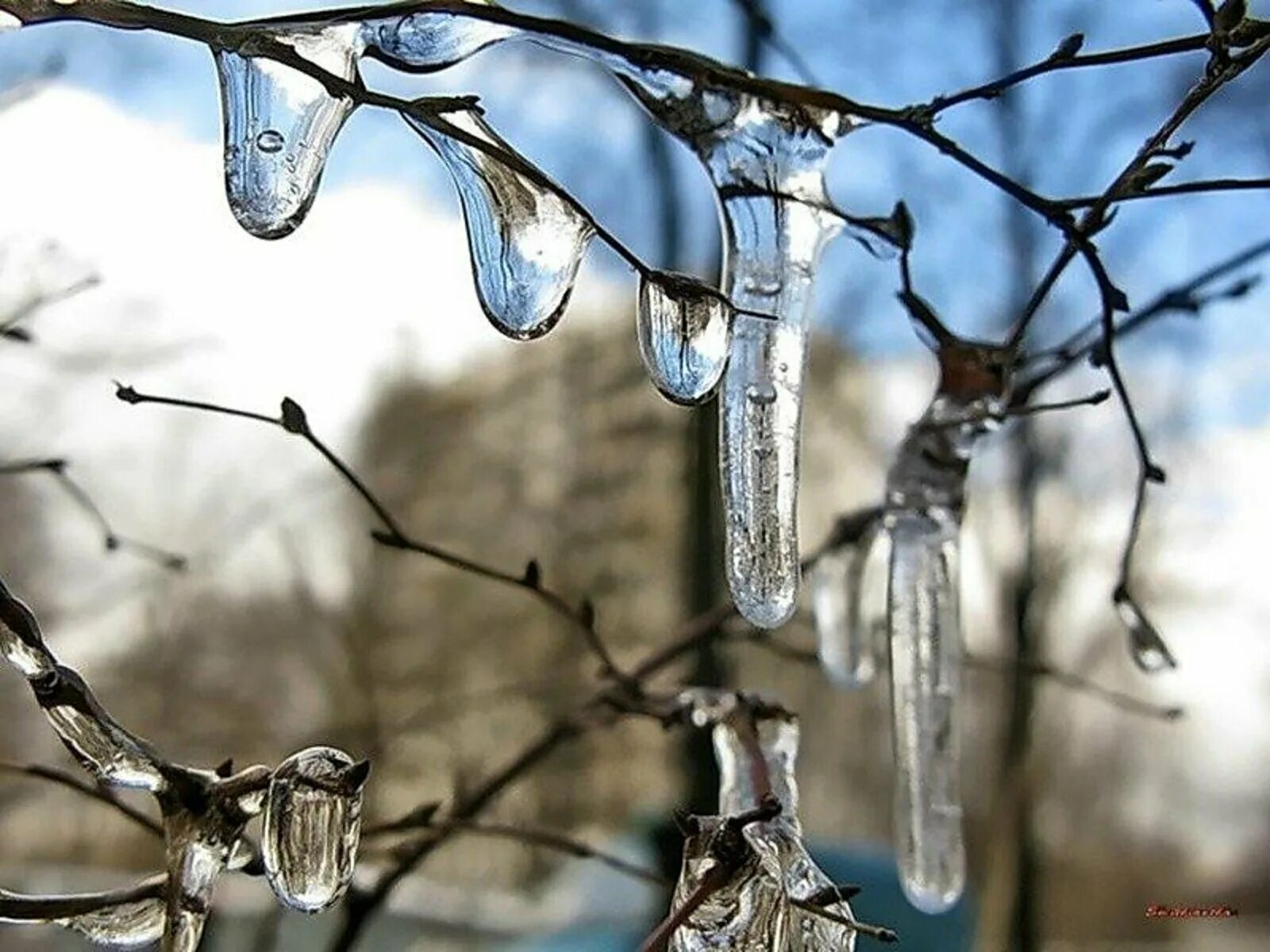 Весенняя кап. Весенняя капель. Сосульки весной. Весенняя оттепель.