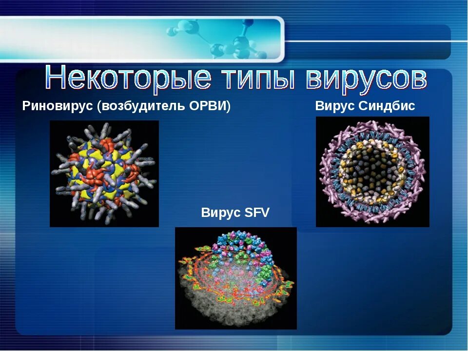 Риновирусная инфекция возбудитель. Вирус ОРВИ. Вирусы возбудители острых респираторных заболеваний. Вирус ОРЗ. Аденовирус гриппа