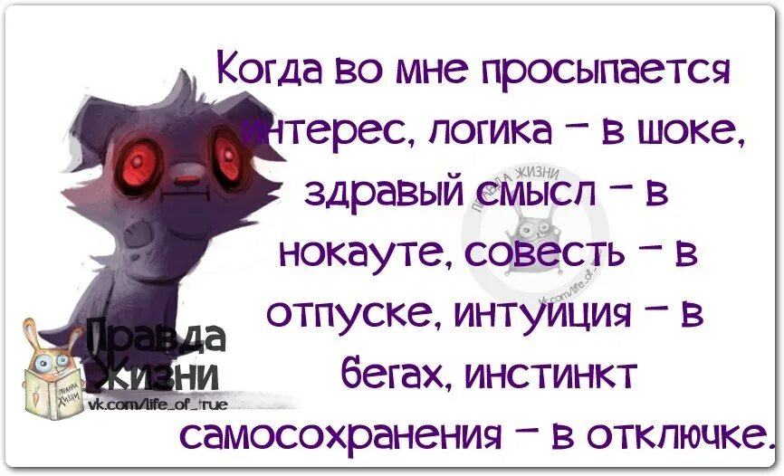 Логика отсутствует напрочь. Прикольные фразы про попу. Логика и здравый смысл. Цитаты про спор с женщиной. Мемы я и моя логика.