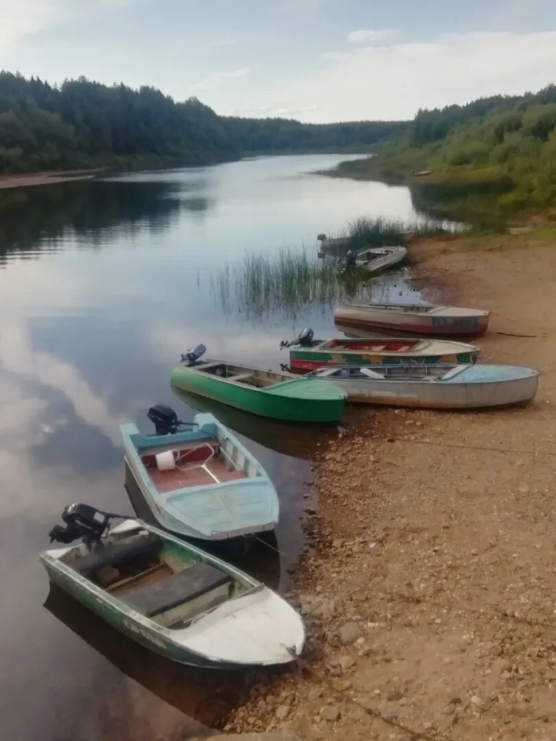 Погода в спаспорубе. Занулье Прилузском районе. Спаспоруб. Спаспоруб Республика Коми. Сосна в Занулье Прилузского района.