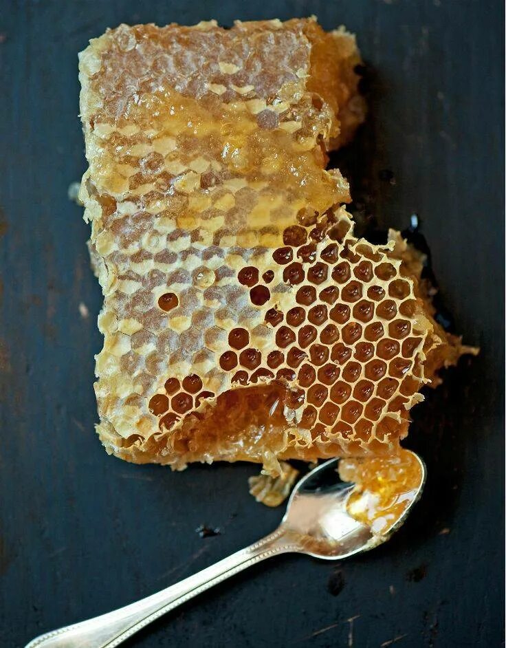 Соты пчелиные. Мёд в сотах. Медовые соты. Пчелиные соты с медом.