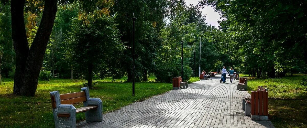 Площадь березовой рощи