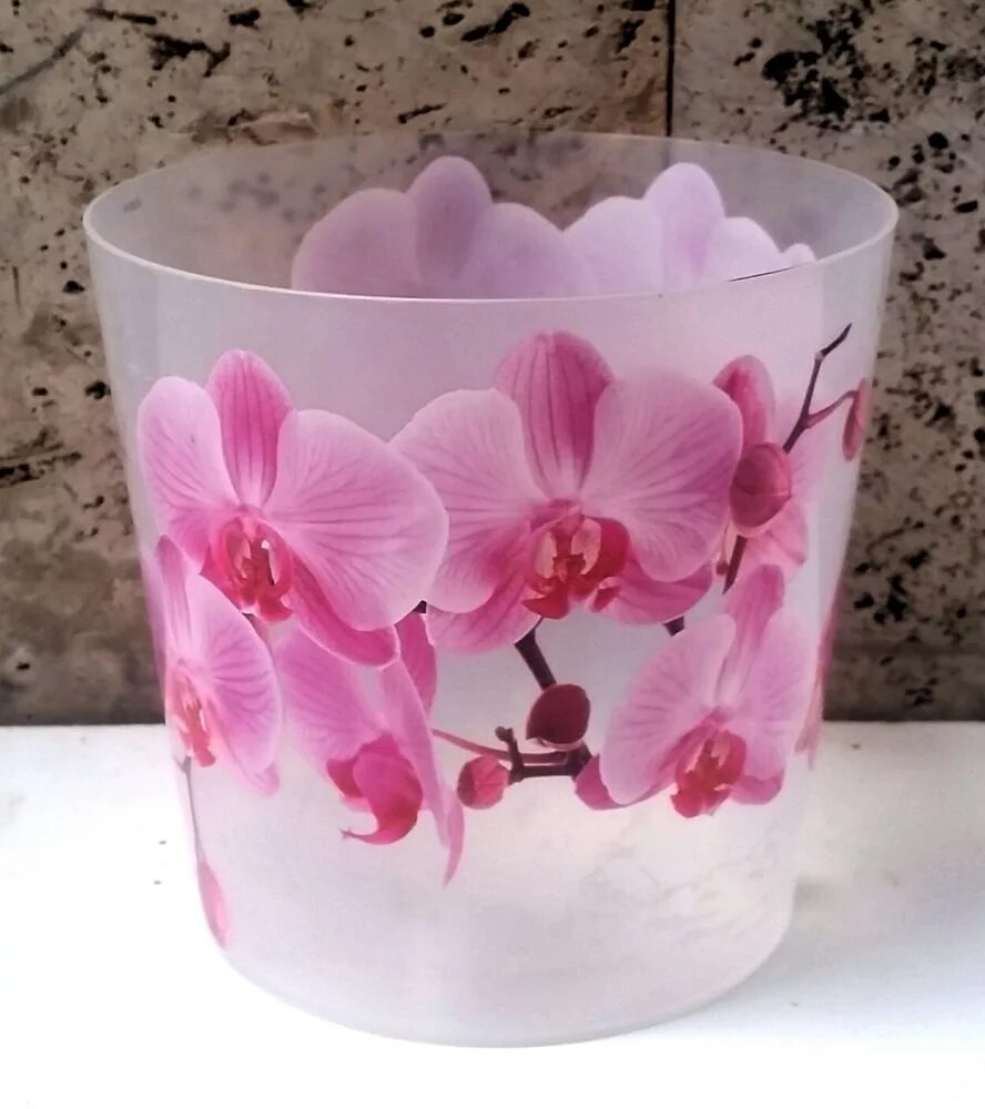 горшок пластиковый прозрачный. 4л прозрачный м3149/10шт/м-пласт. стаканчик орхидея. орхидея в стакане. горшок для ванды.