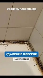 Удаляемплесень.рф Удаление плесени, замена герметика и установка плинтуса в ванн