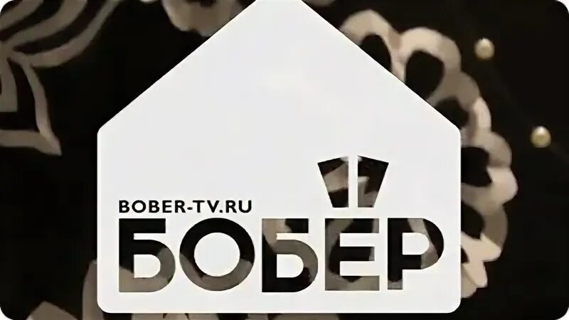 Канал бобёр тв. Телеканал бобер logo. Телеканал бобер. Канал бобёр тв. Логотип бобров.
