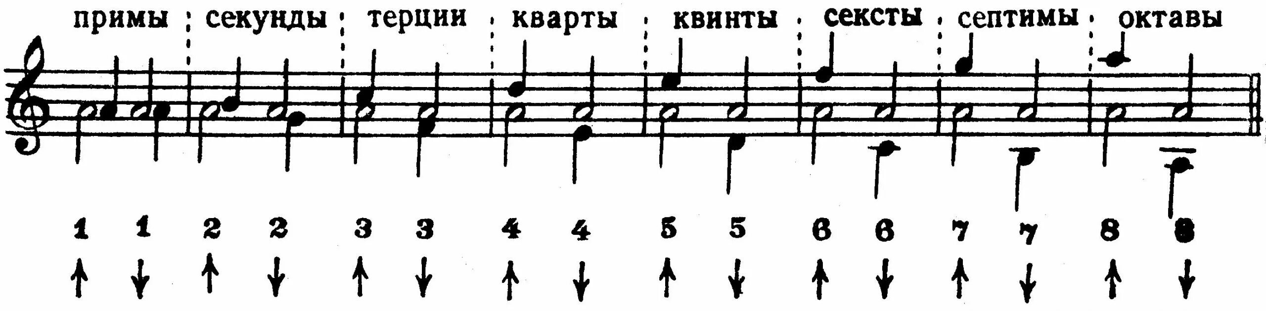 Прима интервал. Музыкальные интервалы в картинках. Прима секунда терция кварта квинта октава. Интервалы прима секунда терция. Прима интервал.
