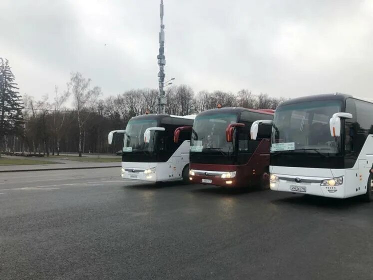 Автомиг автобусы. Автобус тревел. Автобусы автотревел волгодонск. Yutong zk6122h9. Авто тревел волгодонск.