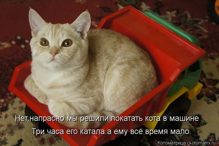 Нет нет напрасны ваши