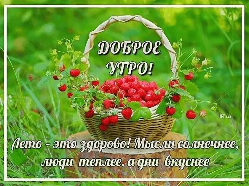 Доброго летнего утра женщине картинка. Доброе летнее утро. Доброго летнего утра женщине картинка. Пожелания доброго утра с клубникой. С добрым летним утром.