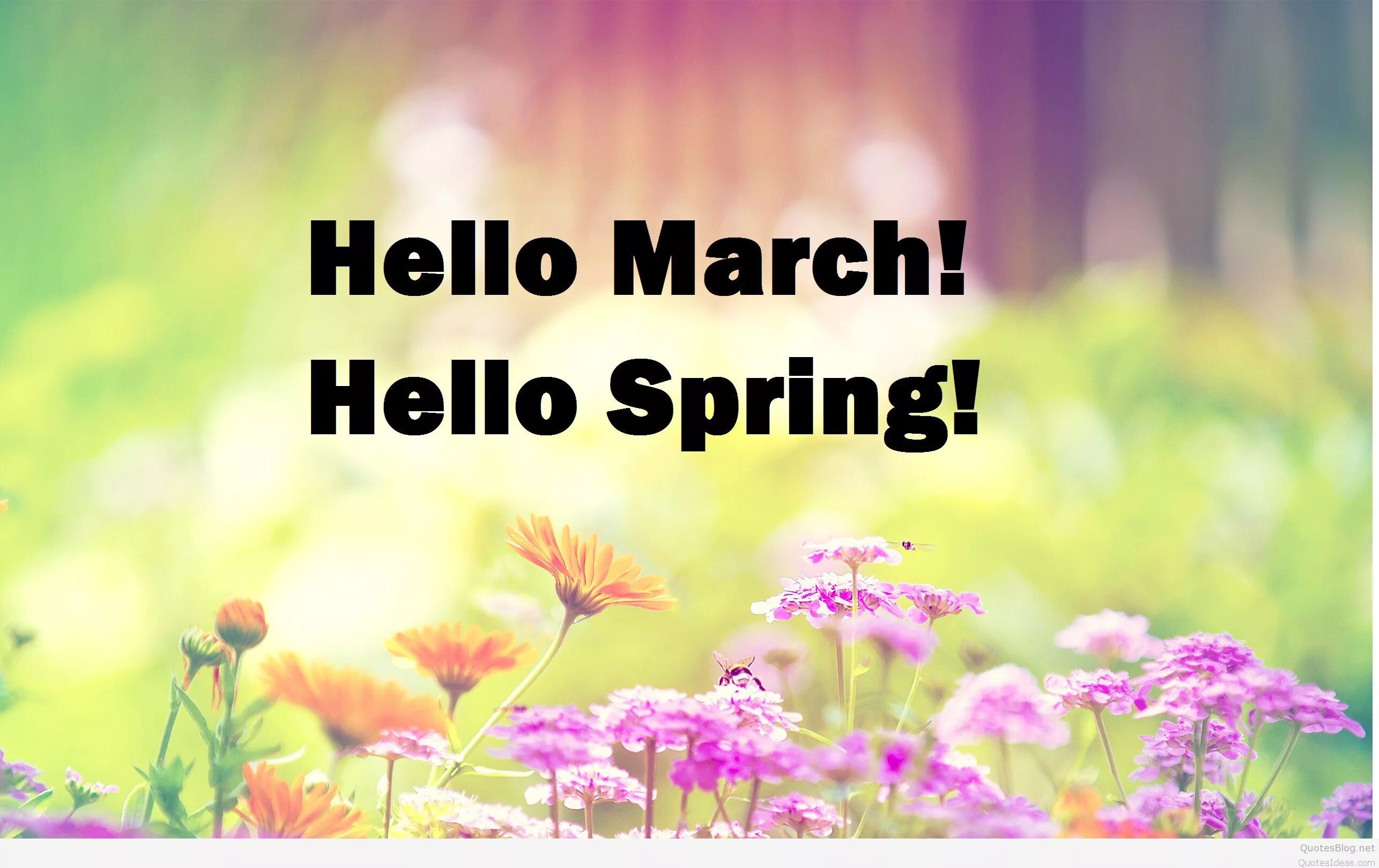 Хелло спринг. Hello Spring обои. Hello March hello Spring. Hello begins