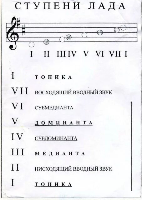 Имена песня ноты. Ступени в Музыке. Ступени теория музыки. Название ступеней в Музыке.