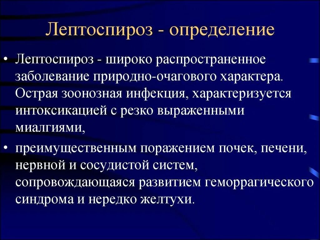 Инфекция лептоспироз. Лептоспироз (Lepto. Лептоспироз пути заражения. Клинические признаки лептоспироза.