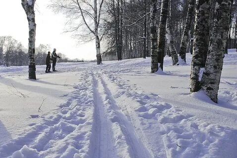 Морозы в клину