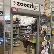 Зоосити работа
