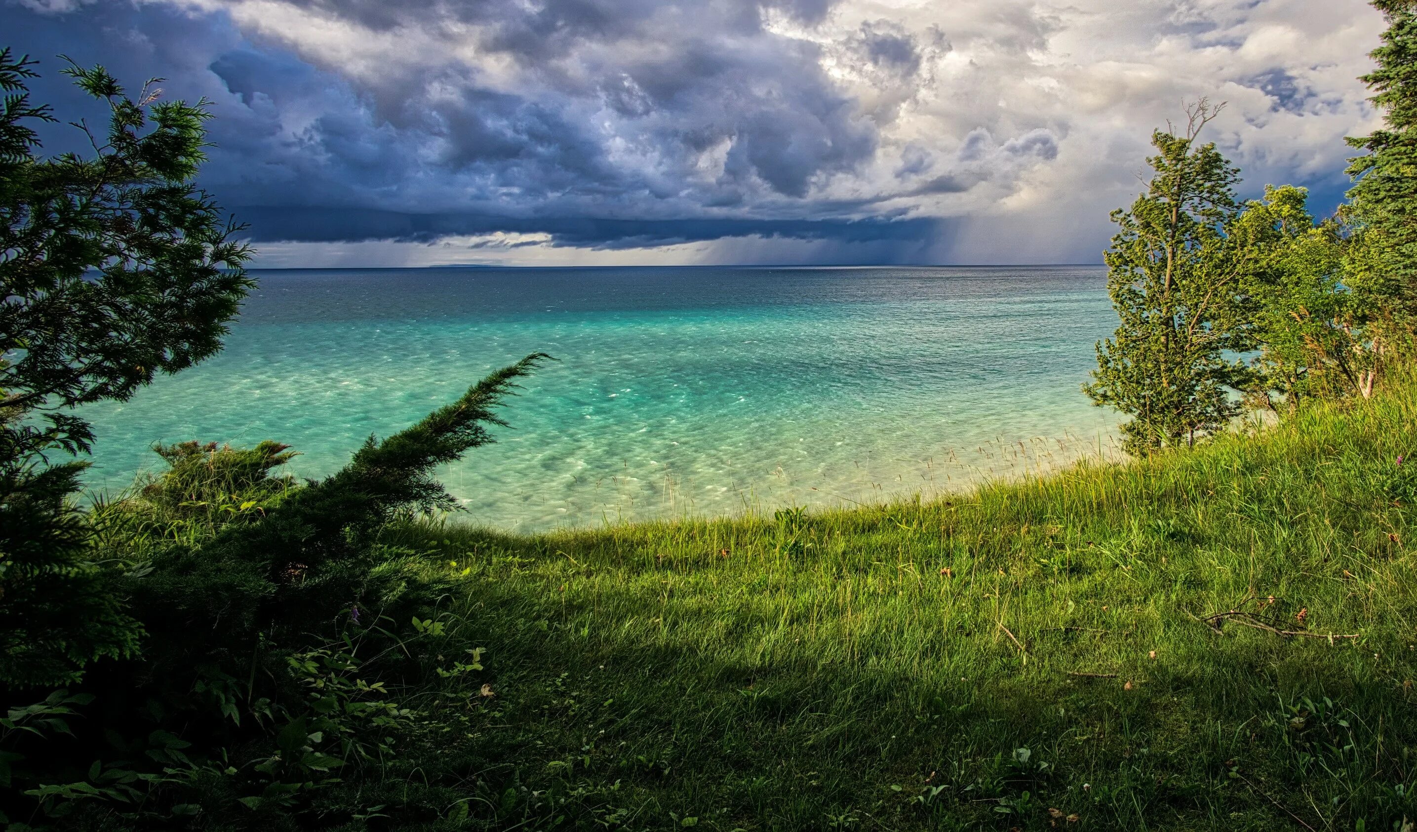 Лонг Айленд природа. Мичиган лес. Природа. Красивая природа море. River coast