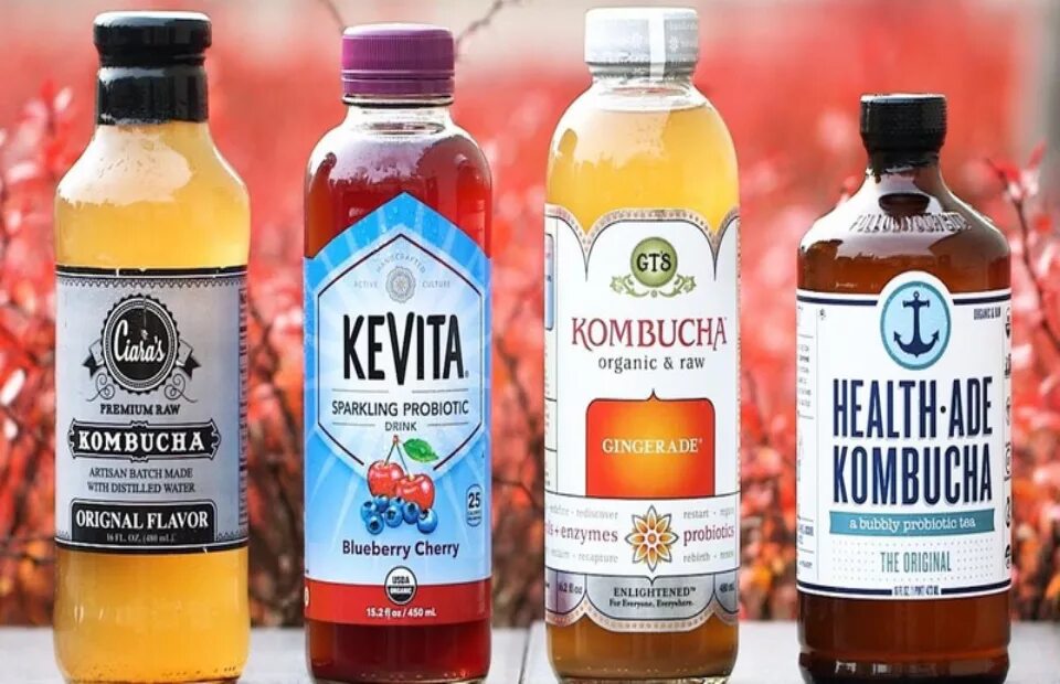 Комбуча. Kombucha напиток. Чайный гриб - Комбуча. Буча Комбуча.