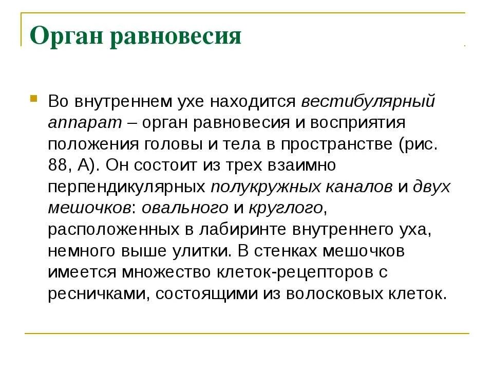 Как устроен орган равновесия какую функцию. Орган равновесия. строение органа равновесия. орган восприятия равновесия. орган равновесия функции.