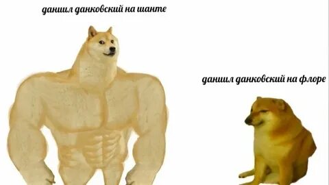 Большая собака мем