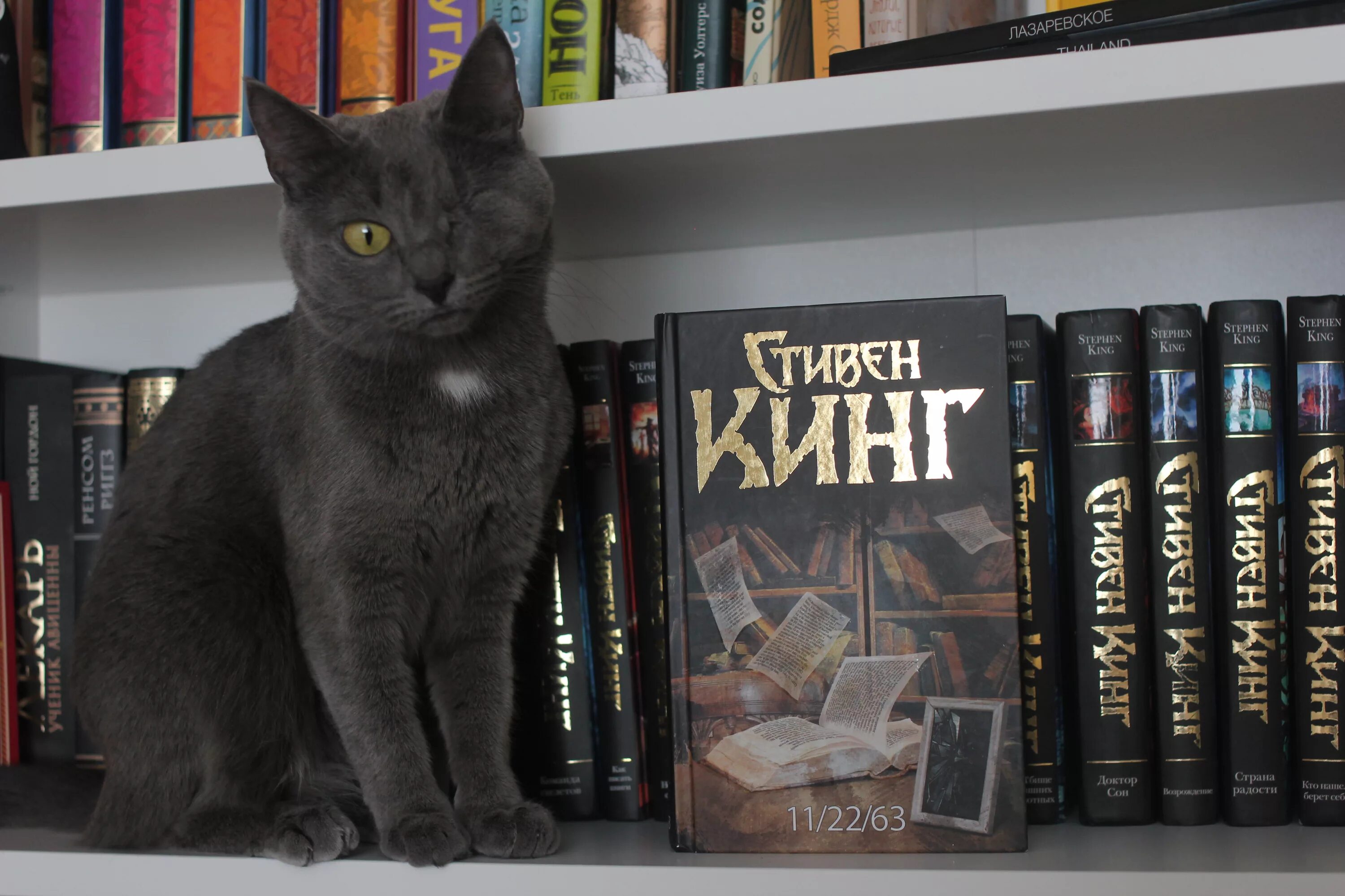 Читать кинг лучшее. Стивен кинг books. коллекция стивена кинга. стивен кинг фантастика. библиотека стивена кинга.