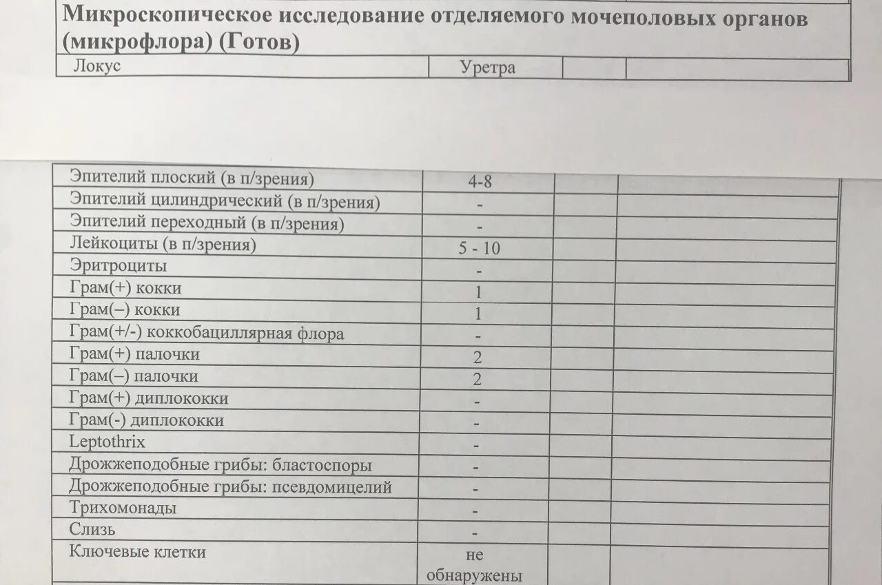 Уреаплазмоз: суть заболевания и его лечение у женщин. Уреаплазмоз повторный анал