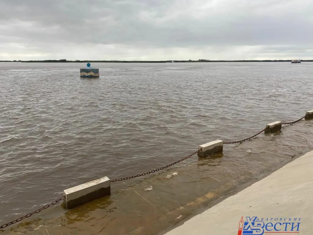 В середине июля 2019 года уровень амура. В середине июля 2019 года уровень амура