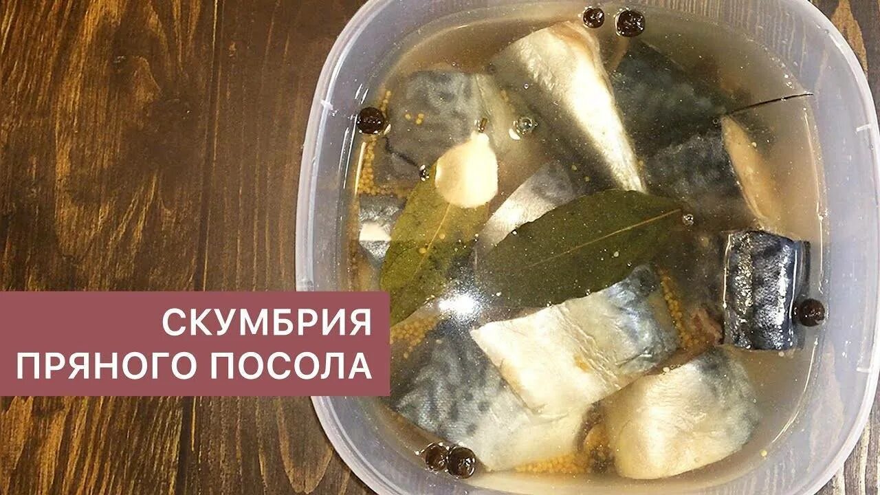 Скумбрия пряная малосольная. Скумбрия пряного посола кусочками. Малосольная скумбрия пряного посола. Скумбрия кусок пряного посола. Скумбрия пряная в рассоле кусочками