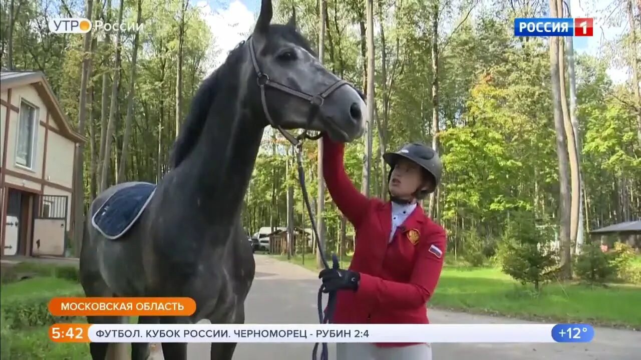 Программы кск. Отрада конный. Отрада конно-спортивный комплекс.