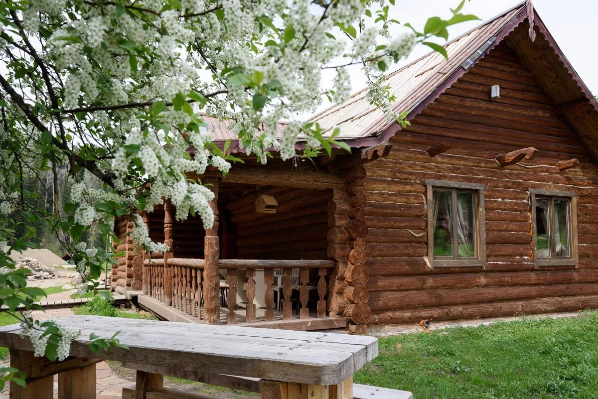 дом лесная сказка. дом лесная сказка. таежная заимка алтай. проект дома лесная сказка. деревянный дом.